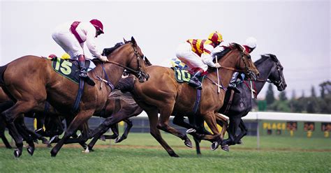 horse racing wisconsin|Distance Riding .